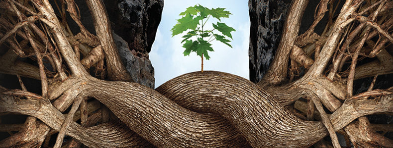 A look at two independent companies focused on growth through acquisition